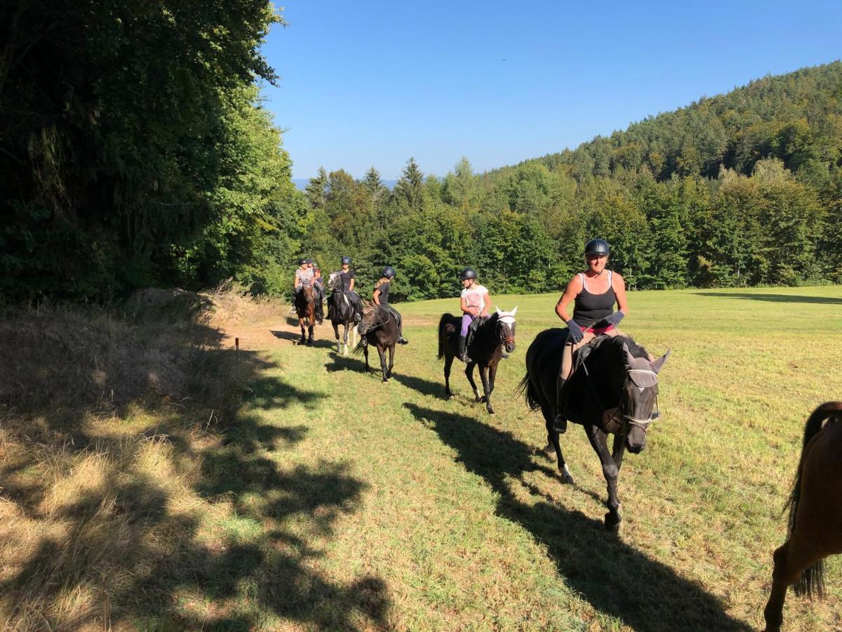 Pension & Reitschule Fuchsenhof Seebarn Bagian luar foto